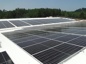 SOLGALEO ejecuta la instalación fotovoltaica de la planta de biorresiduos de Vilanova de Arousa, con capacidad para producir 720,5 megavatios hora al año